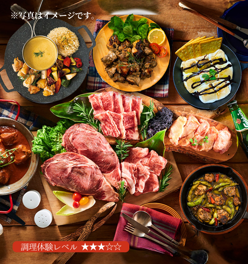 マッキンリープラン写真